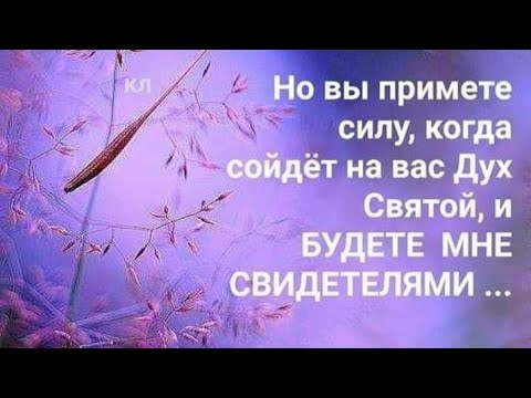 Свидетели
