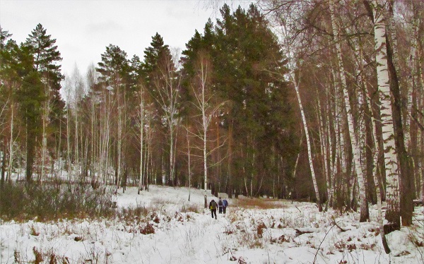 Овраги, дороги, лесные массивы 2021 год