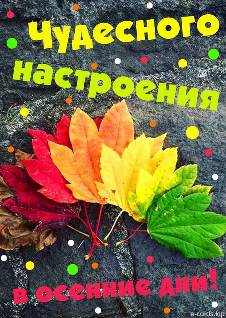 Благословенные краски