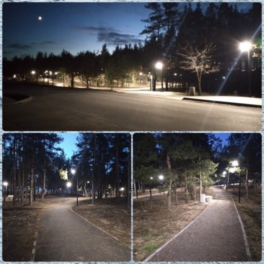 Ночная прогулка