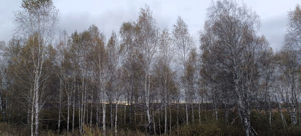 Биомагнитный резонанс и геометрия