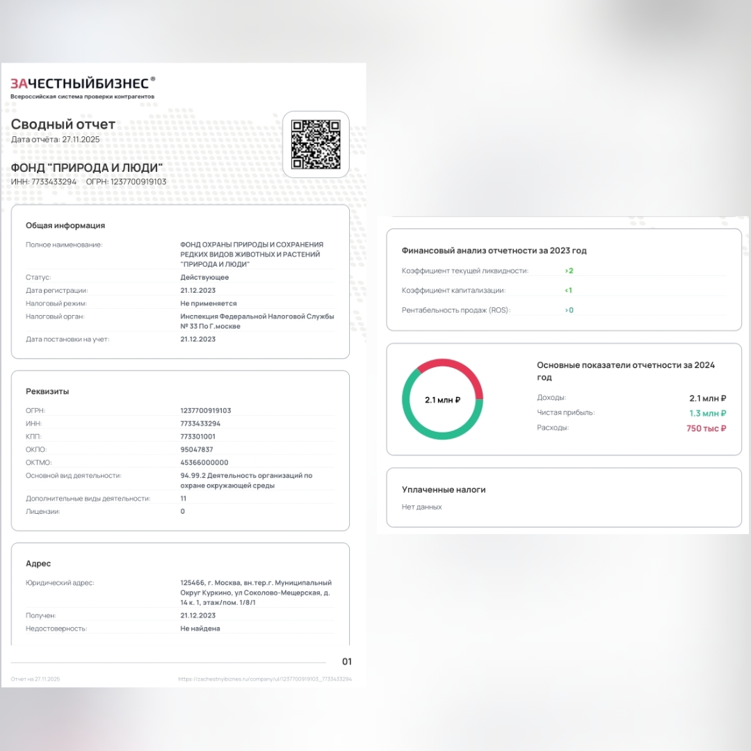 Неуплата налогов Фондом Природа и люди