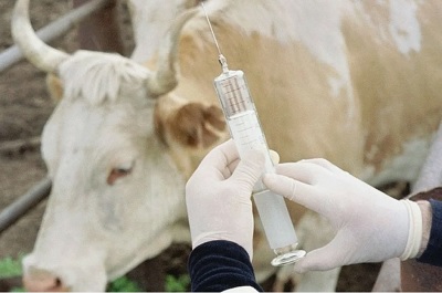 Колькины рассказы Сельское родео