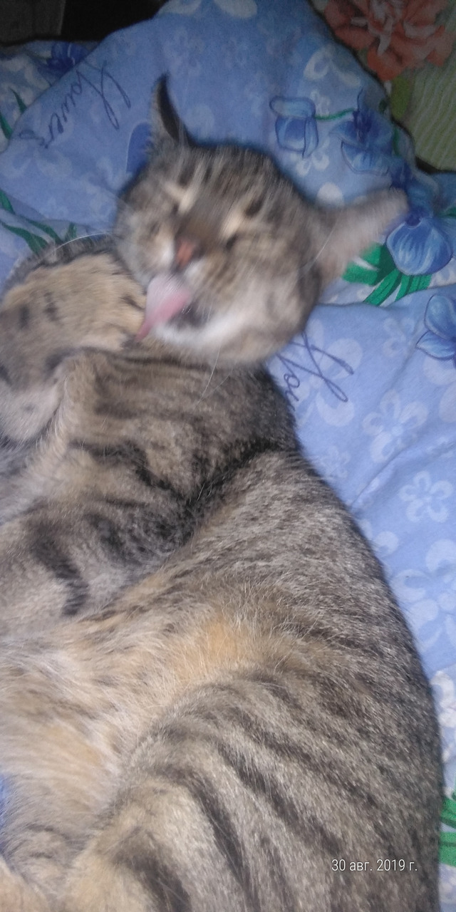 Воспоминание о любви