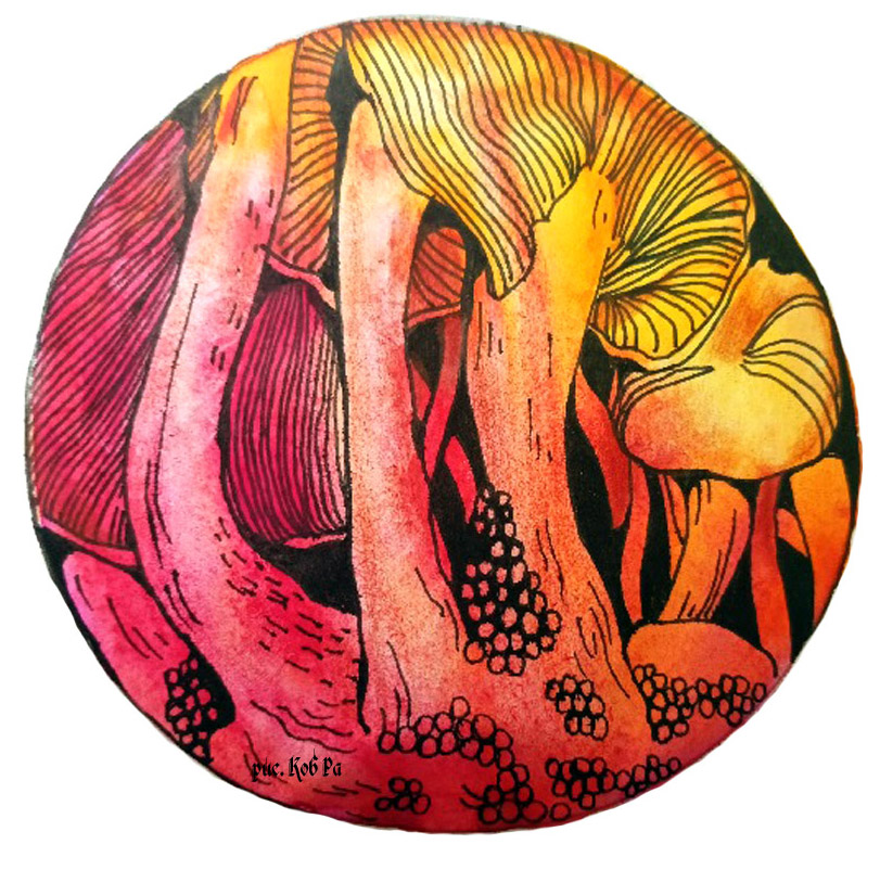 Всё может быть...