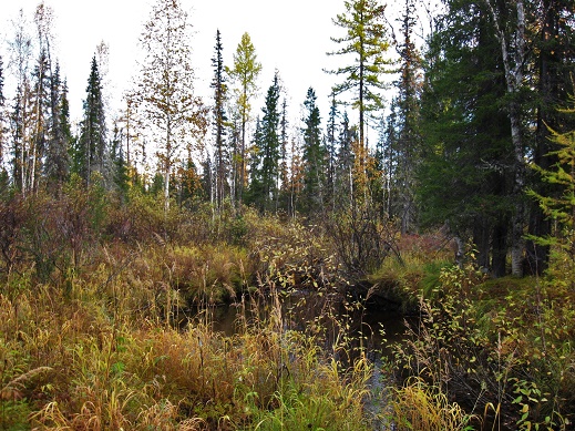 О лайках и о людях. Часть 8