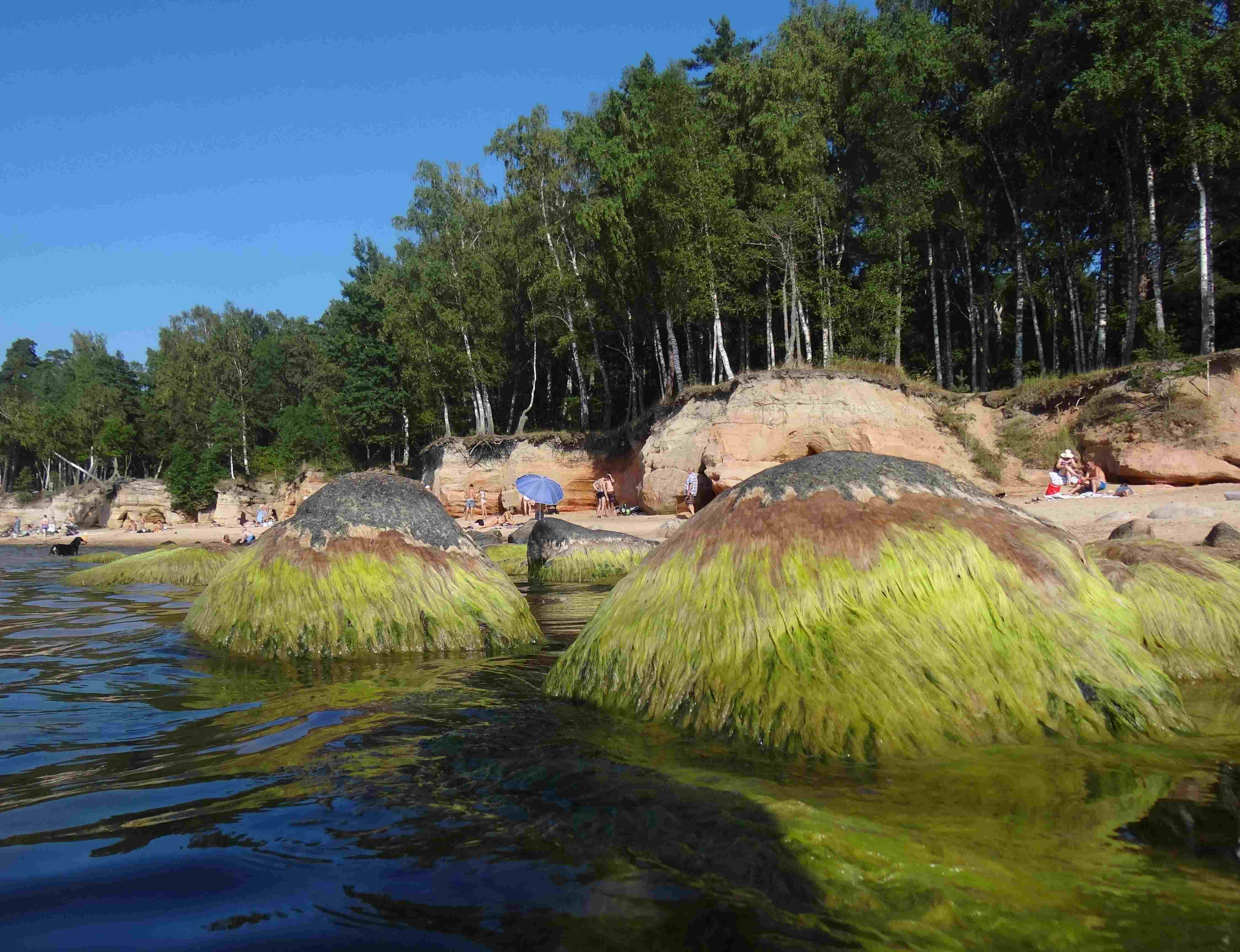 Запомни, Саня!