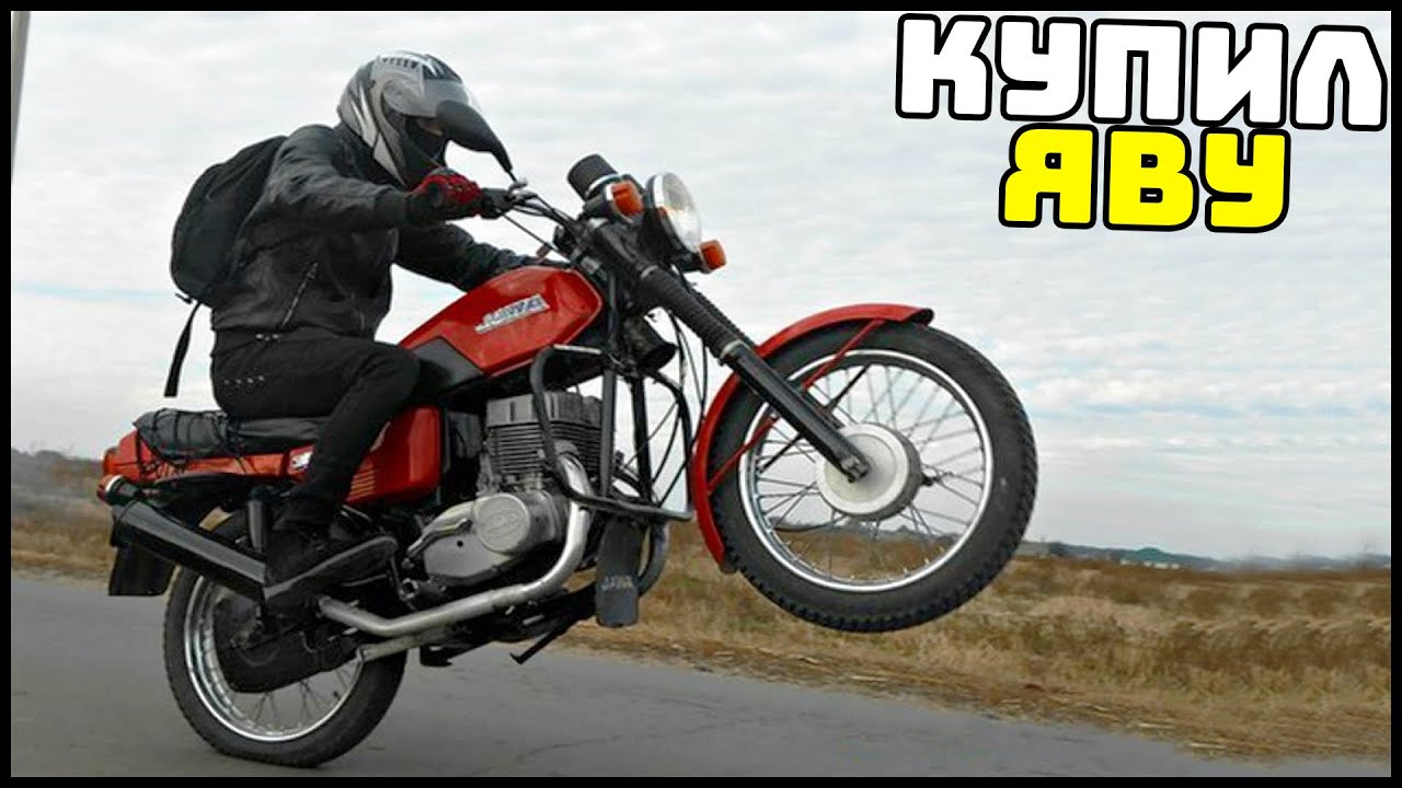 Соседи и их питомцы 2