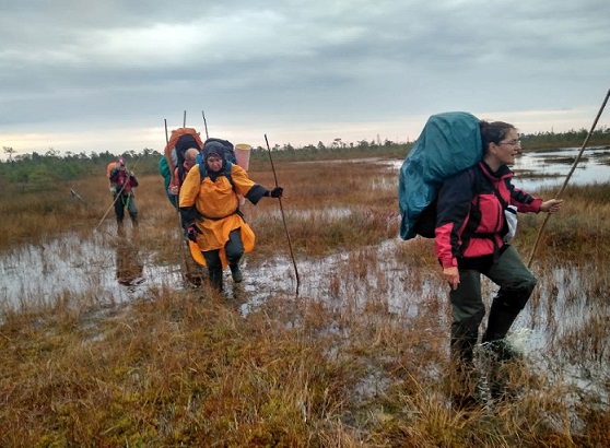 По болотной трясине