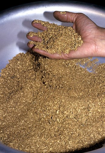 Люди золота жаждут, повесть