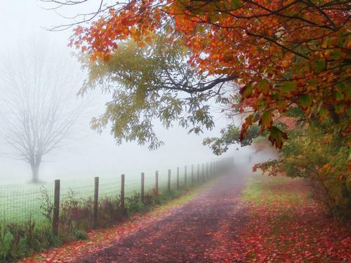 Ах, туманы-растуманы