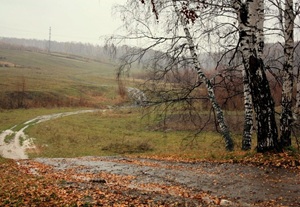 Шаги зимы...