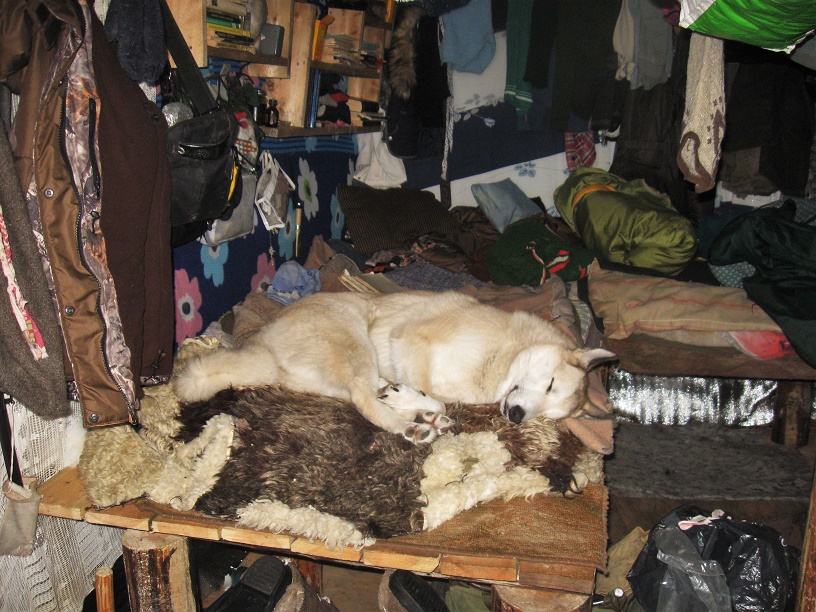 О лайках и о людях. Часть 10