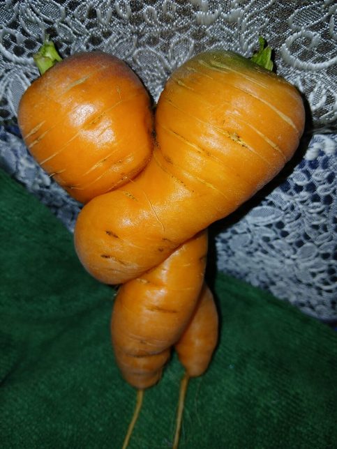 Любовь - морковь