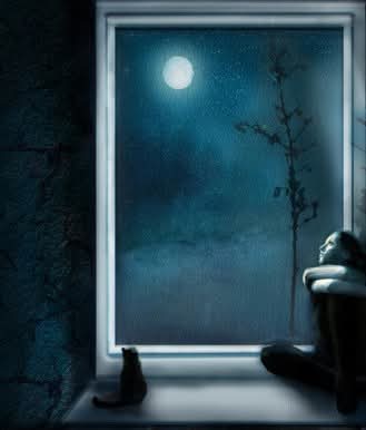 Полночная волна