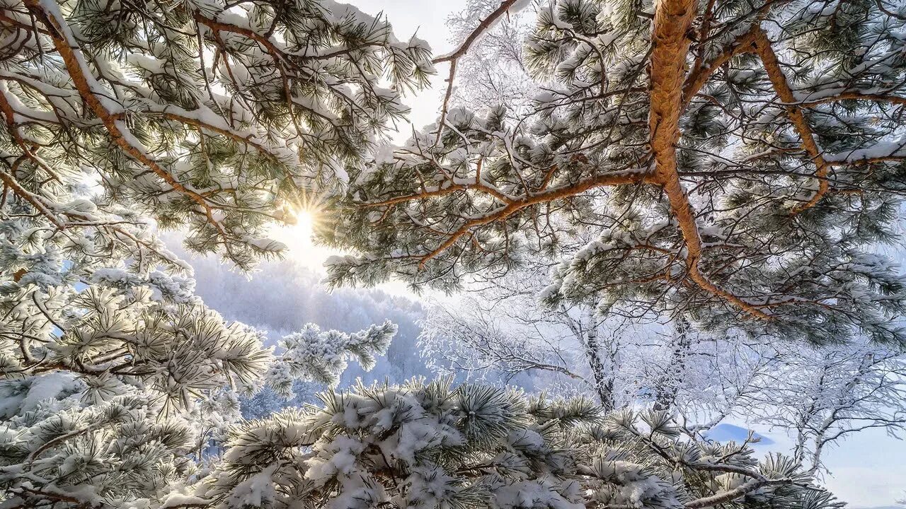 Придет ли к нам зима?