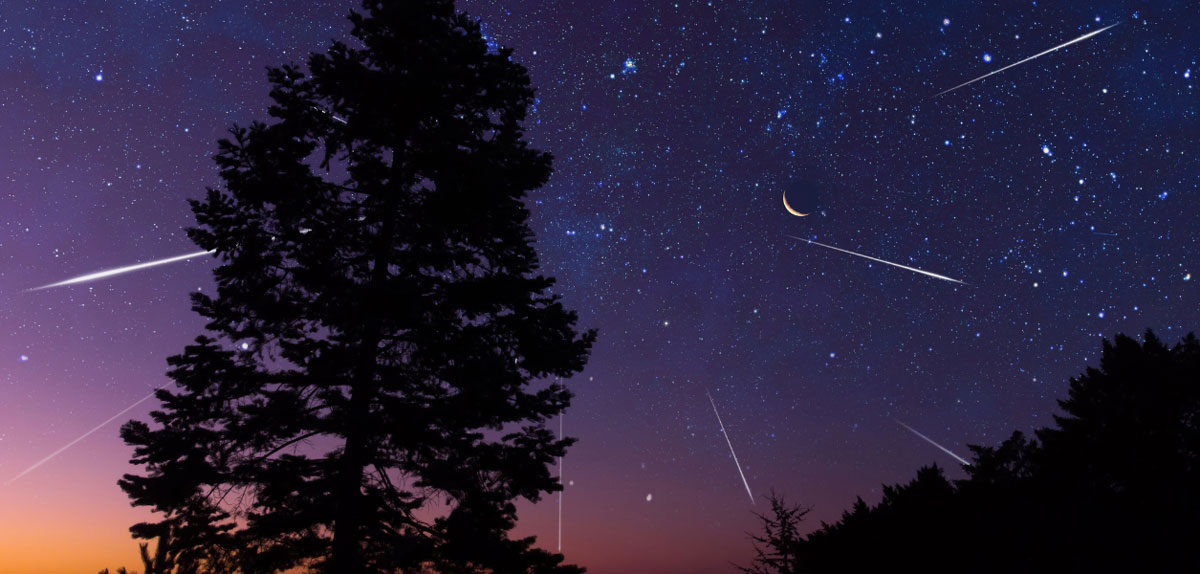 Ромашковая поляна 4 Повесть о первой любви