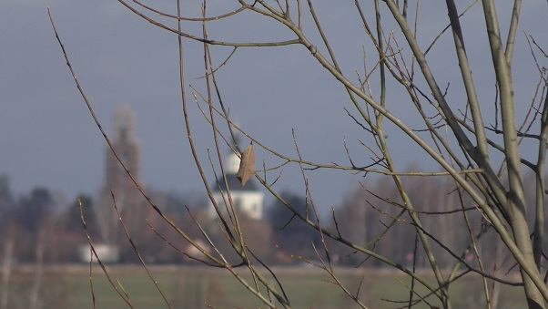 И лето прошло, и осень