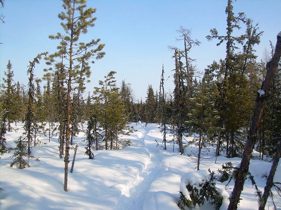 Шаг, ещё шаг