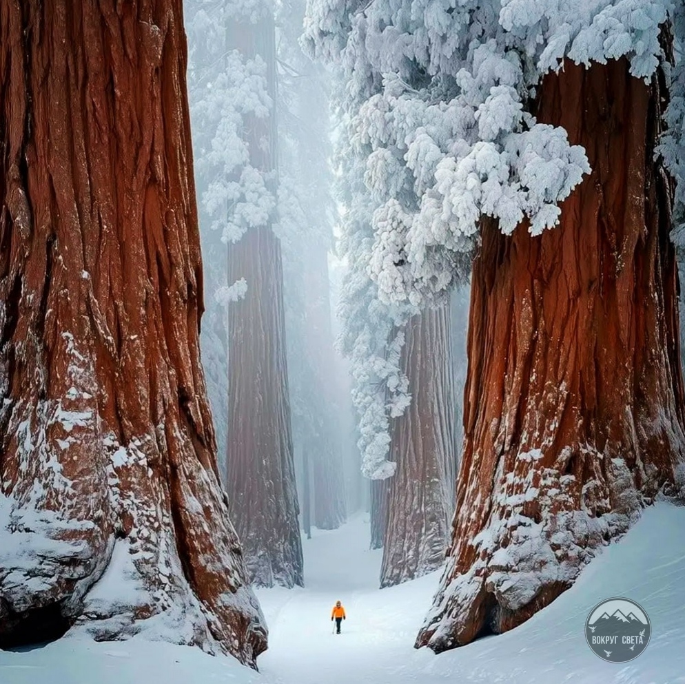 В вальсе белом кружит снег В вальсе белом кружит снег